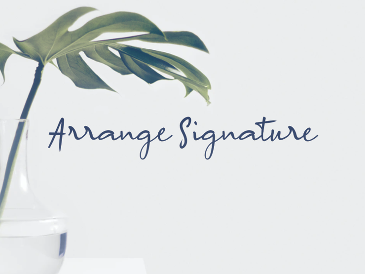 a Arrange Signature字体 1