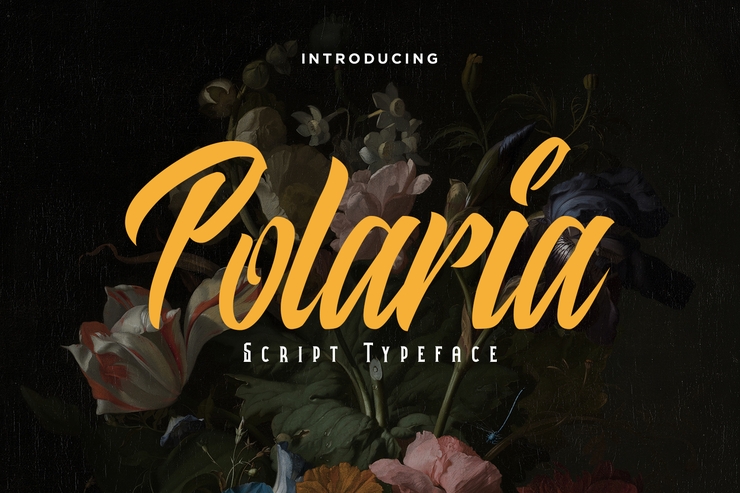 Polaria字体 5