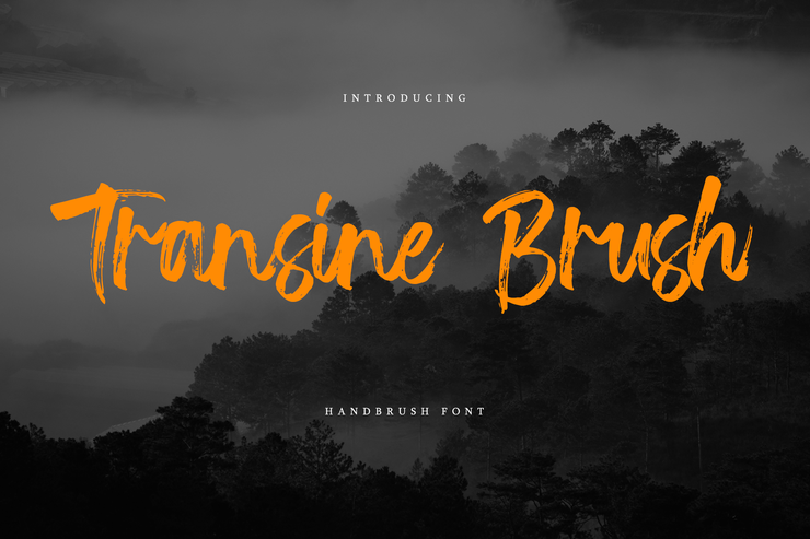 Transine Brush字体 1