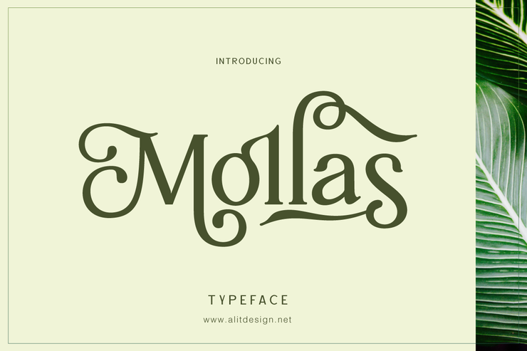 Mollas字体 2