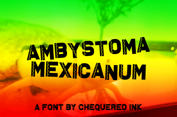 Ambystoma Mexicanum字体 1