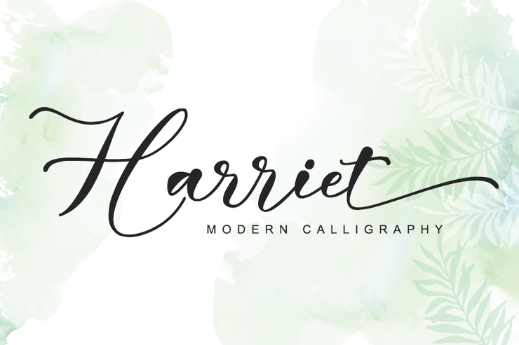 Harriet -字体 5