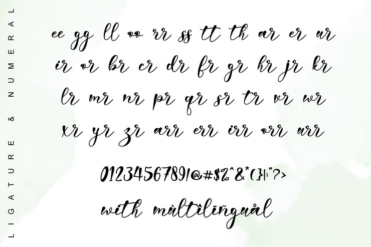 Harriet -字体 8