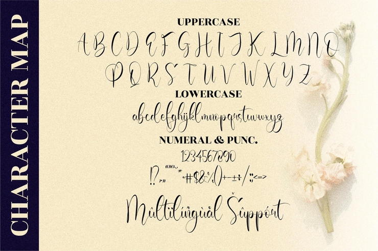 Olivianta Pettcia字体 6