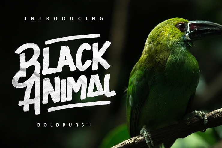 Black Animal字体 5
