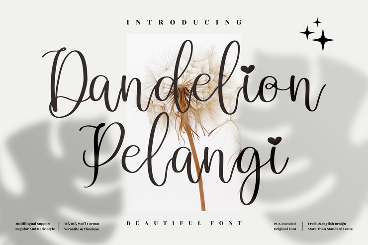 Dandelion Pelangi字体 3