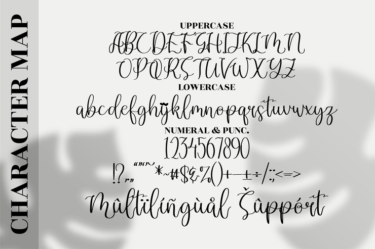 Dandelion Pelangi字体 8