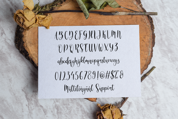 Charlotte Shine字体 2