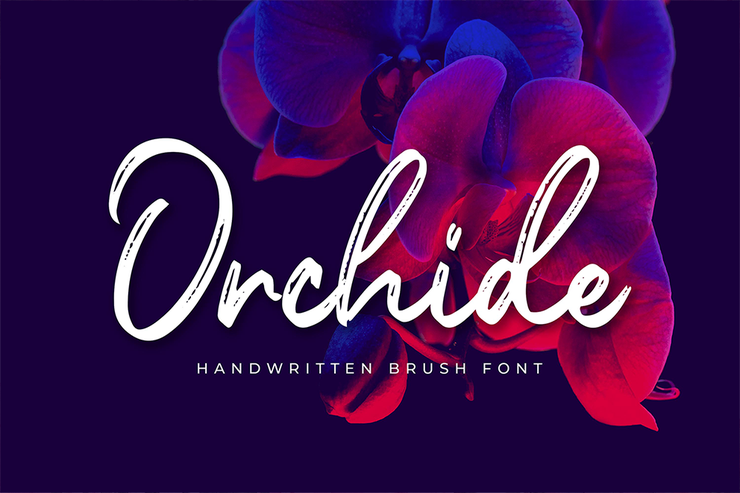 Orchide字体 1