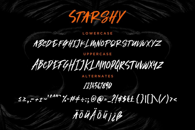 Starshy Street Brush字体 8