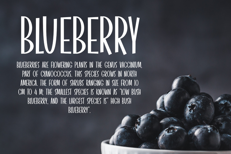 Holiday Pleasure字体 3