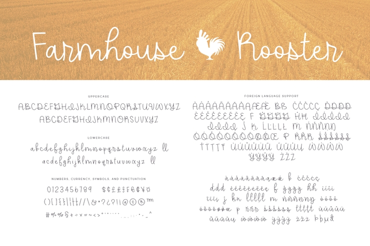 Farmhouse Rooster字体 2