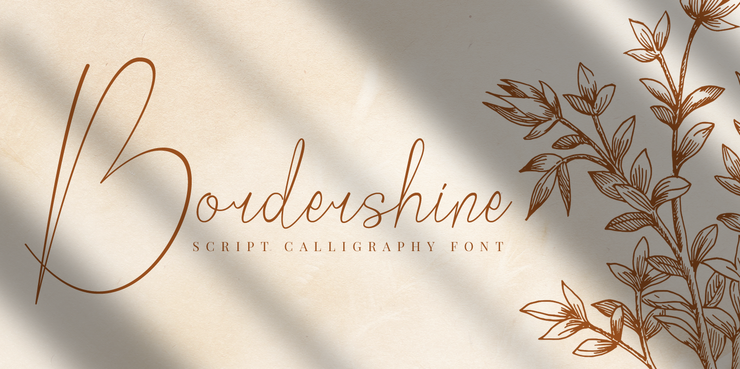 Bordershine Script字体 5