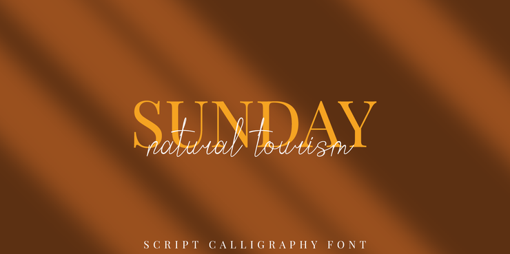 Bordershine Script字体 6