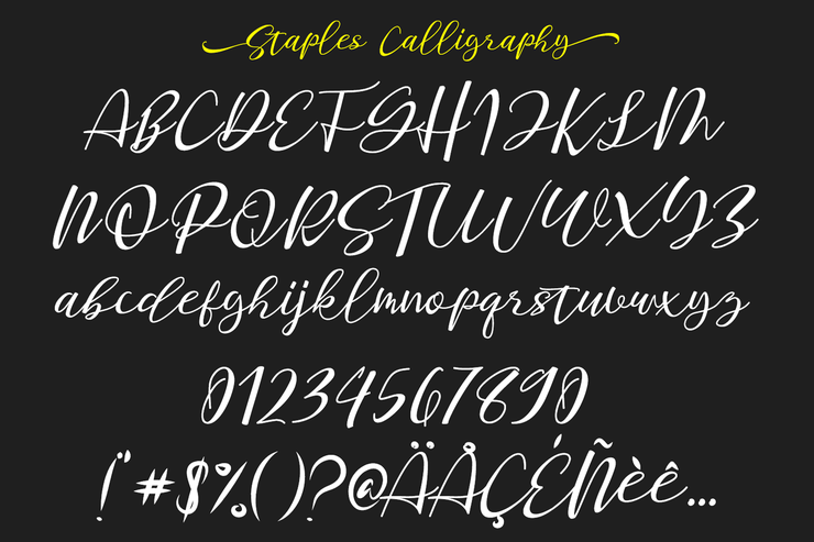 Staples Calligraphy字体 5