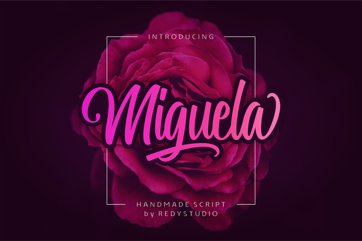 Miguela Script字体 1