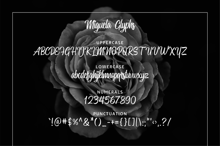 Miguela Script字体 3