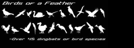 Birds of a Feather字体 1