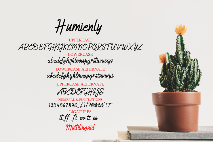 HumienlyDemo字体 3