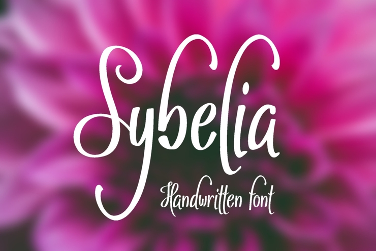 Sybelia字体 7