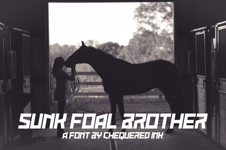 Sunk Foal Brother字体 1