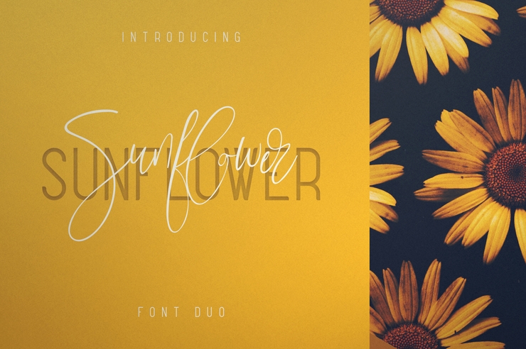 Sunflower字体 1
