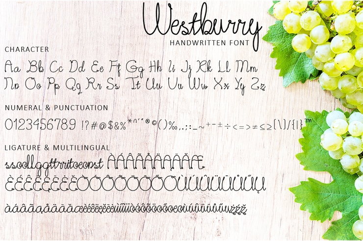 Westburry字体 5