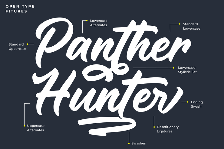 Panther Hunter Onl字体 5
