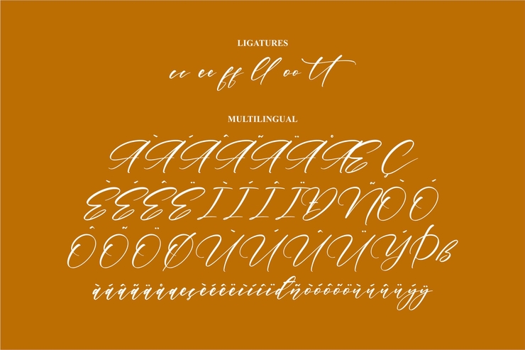 Hardiness字体e字体 8