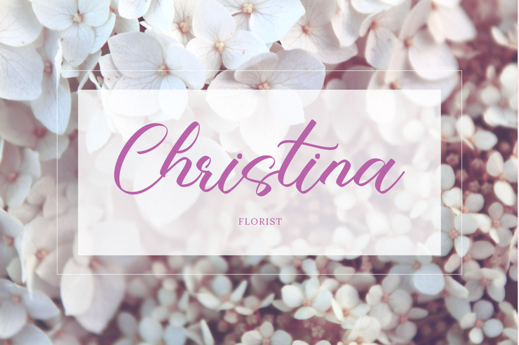 Amaris Catalina字体 1