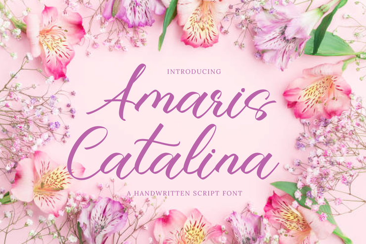 Amaris Catalina字体 3