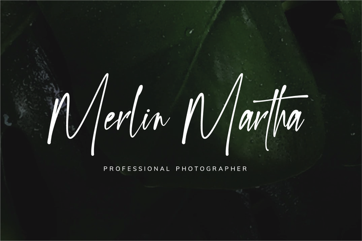 Hessley Andreas字体 4