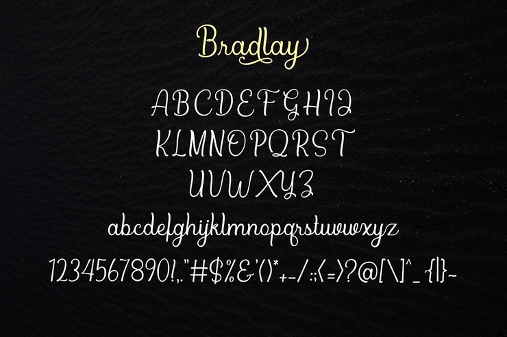 Bradlay字体 2