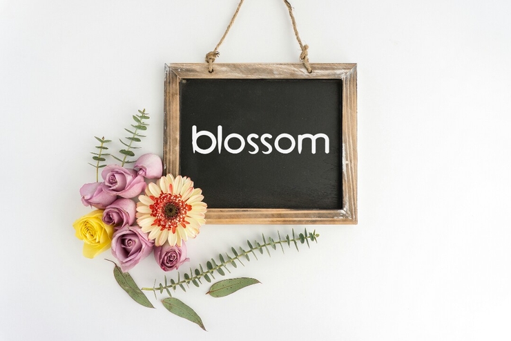 Blossom字体 3