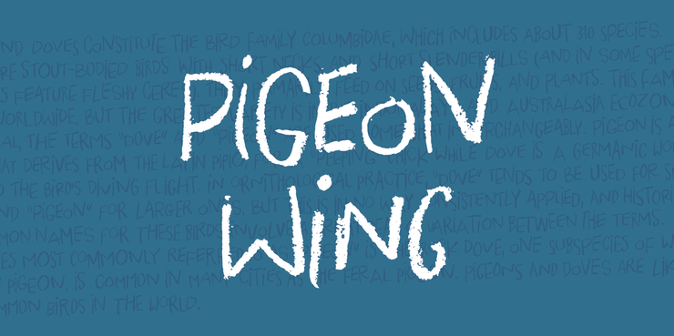 Pigeon Wing DEMO字体 4