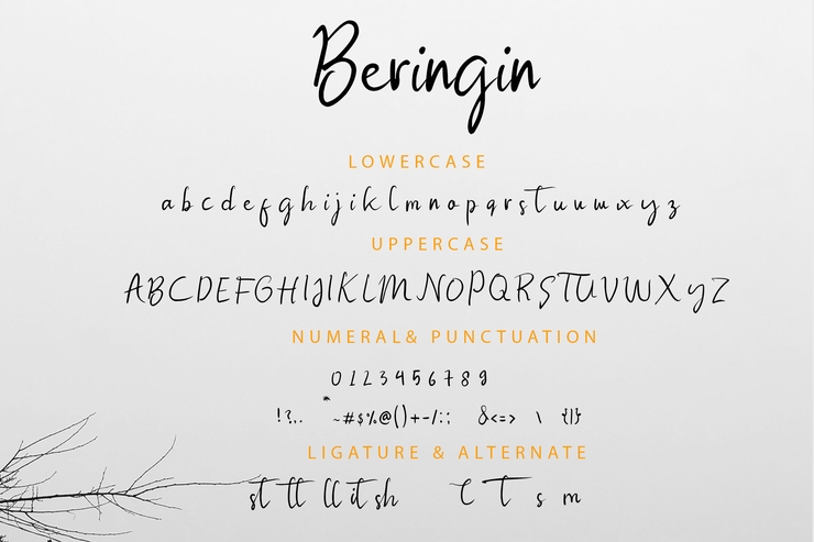 Beringin字体 2