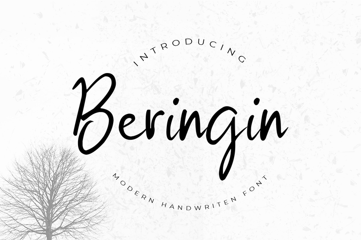 Beringin字体 3