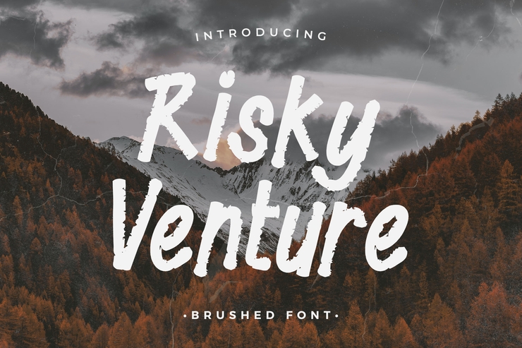 Risky Venture字体 4