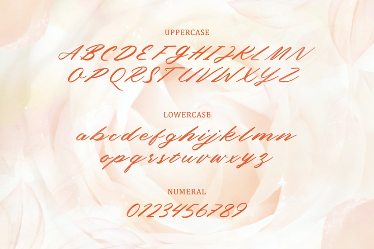 Sweet June Trial字体 6