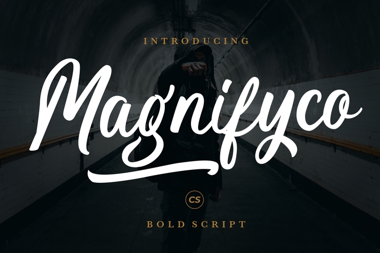 Magnifyco字体 4