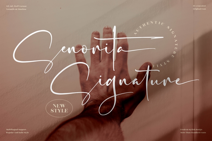 Senorita Signature字体 4