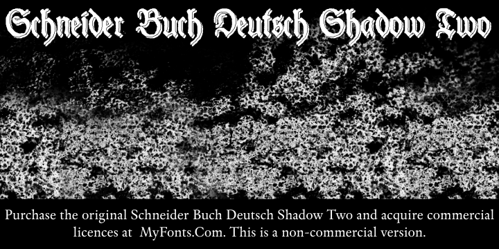 Schneider Buch Deutsch Shadow T字体 1