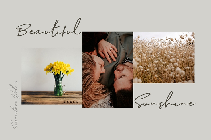 Sophia Bella字体 3