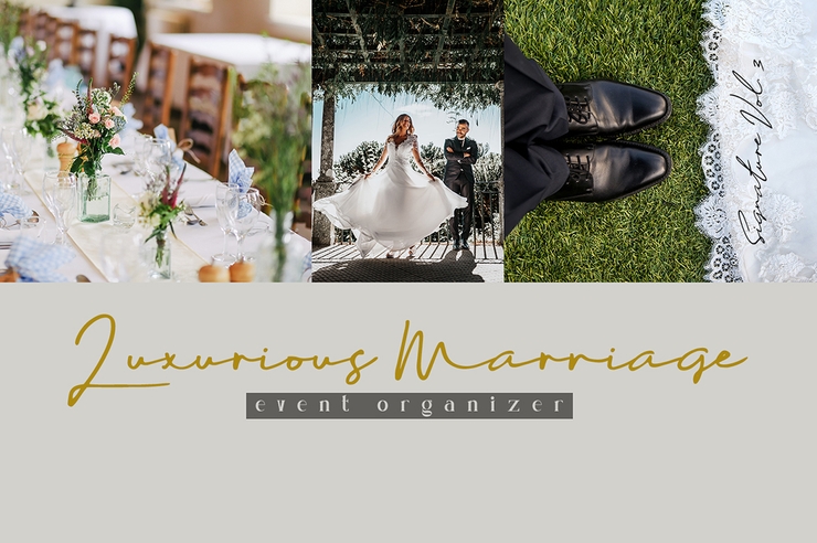 Sophia Bella字体 4