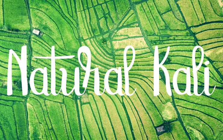 Natural Kali字体 1