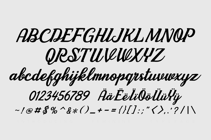 Cherry Angela字体 3