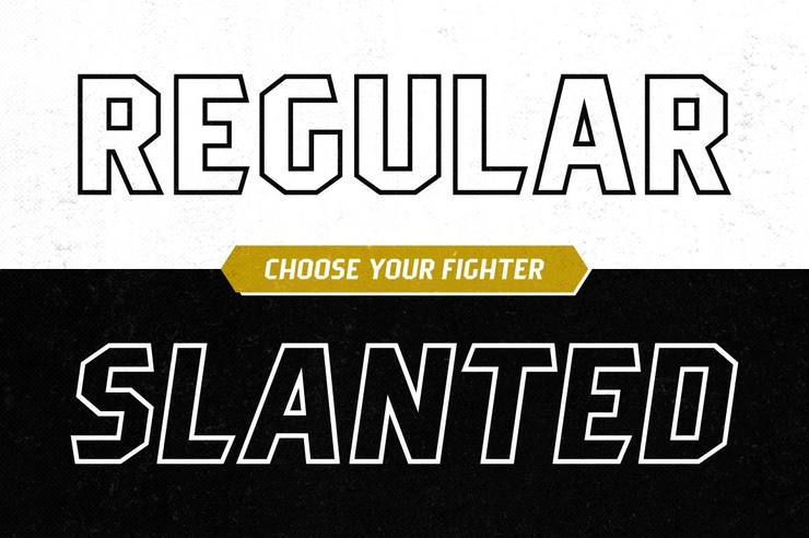 Pittsbrook Sans字体 2