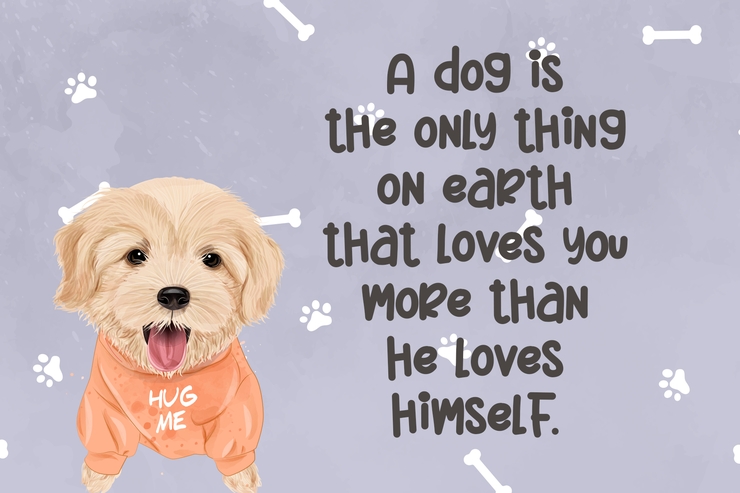 Christmas Sheep -字体 6