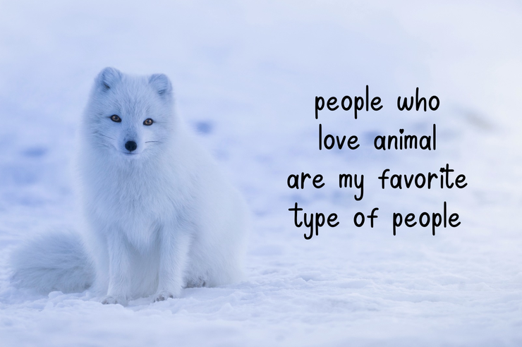 Hello Graduation Sans字体 2