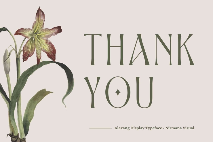 Alexang Display字体 1